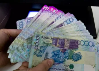 Қазақстандықтар бизнес үшін қайтарымсыз 1,5 млн теңге ала алады