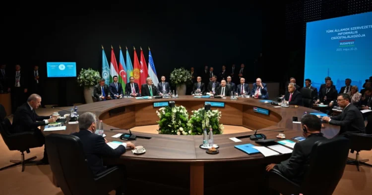 Президент Түркі мемлекеттері ұйымының бейресми саммитіне қатысты