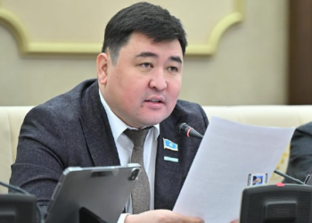 Жұмыссыздықты жоямыз десек, алдымен жалған мәлімет беруді тоқтату керек! — депутат