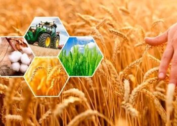 Жетісу облысында Ұлттық ауыл шаруашылығы санағы басталады