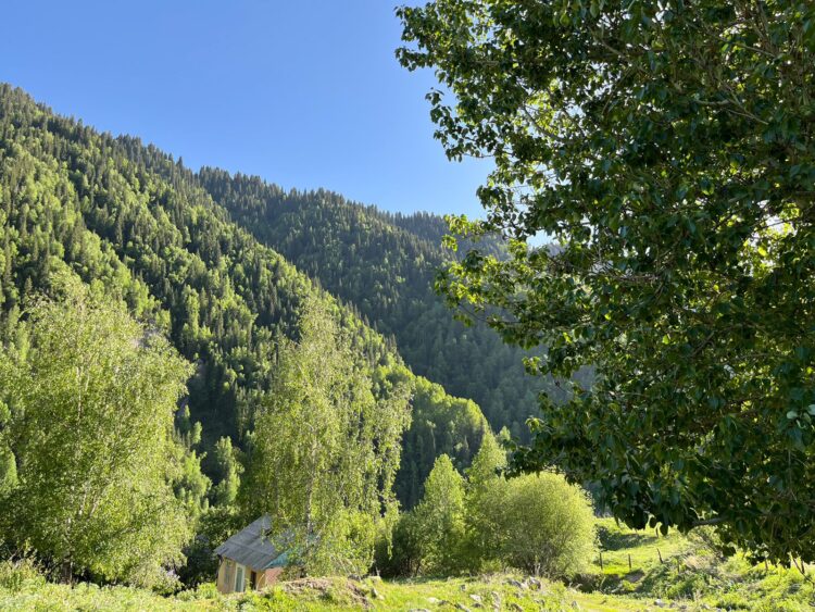 Бүгін бірнеше өңірде жел күшейеді