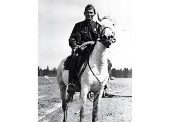 Жалын шарпыған жануарлар