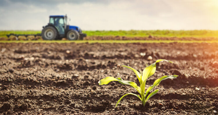 Көктемнің бір күні жылға азық