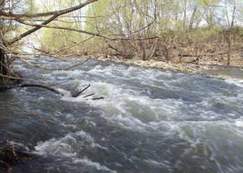 Жетісу облысында өзеннен трос арқылы өтпек болған ер адам суға құлап, жоғалып кетті