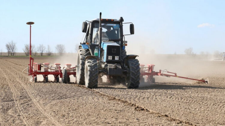 Мол өнімнен үміт бар