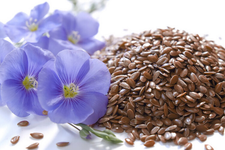 Алғаш рет зығыр өсіріледі