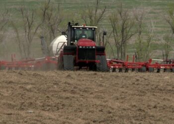 Егін егу қарқын алды