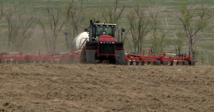 Егін егу қарқын алды