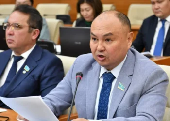 Депутат министрге: Біз бюджеттің ақшасын қашанғы құмға сіңіріп отырамыз?