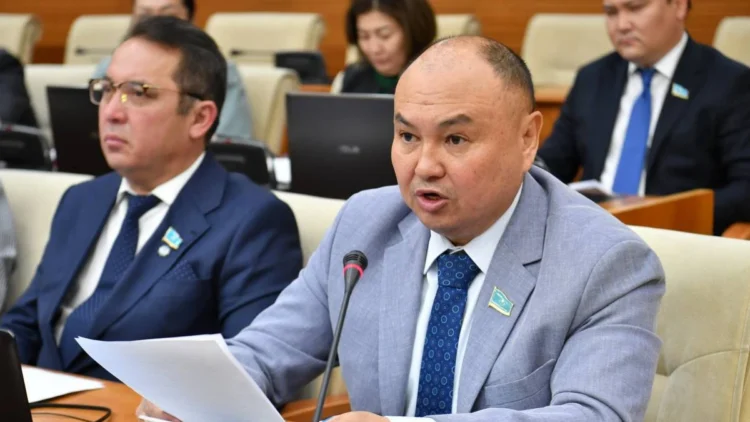 Депутат министрге: Біз бюджеттің ақшасын қашанғы құмға сіңіріп отырамыз?