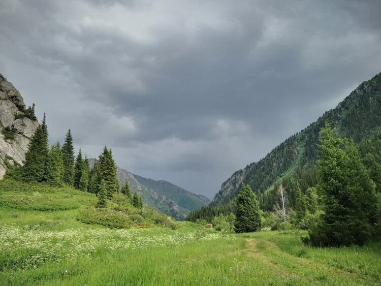 31 мамырдағы ауа райы болжамы