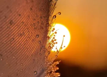 Аптап ыстық: +44°C. Еліміз бойынша 16 мамырға арналған ауа райы болжамы