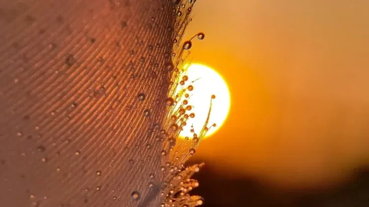 Аптап ыстық: +44°C. Еліміз бойынша 16 мамырға арналған ауа райы болжамы