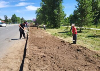 «Таза бейсенбі»: Туған елге деген қамқорлықтың жарқын үлгісі