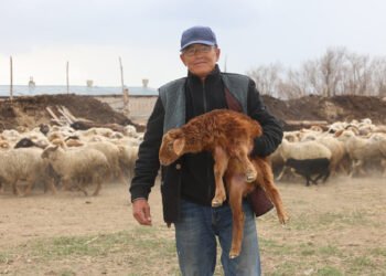 Төрт түліктен табыс тапқан