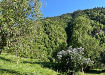 Аптап ыстық: елдің 14 өңірінде дауылды ескерту жарияланды