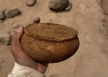 Қазақстанда сақ дәуіріне жататын алтын әшекейлер табылды