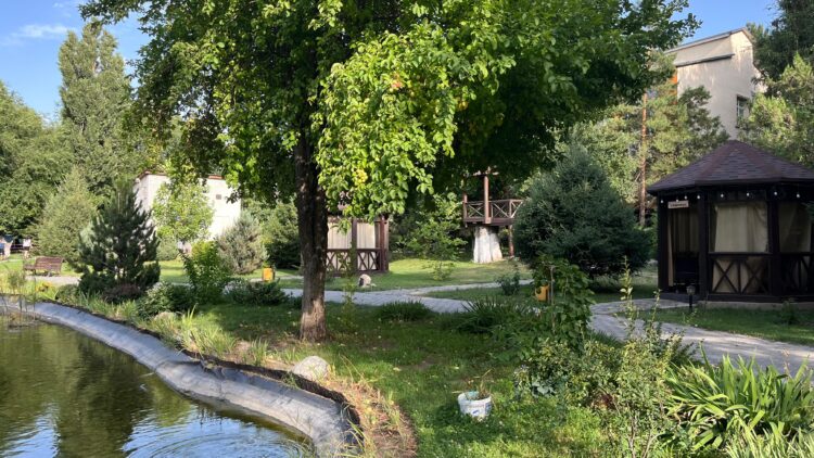 Алдағы күндері 44 градус ыстық болады