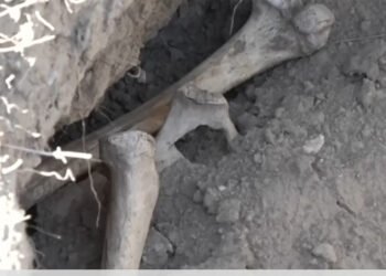 Жетісу жеріндегі Сақ қорғандары тоналып жатыр: тарихшылар дабыл қағуда