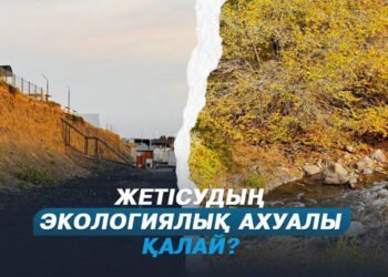 Жетісу облысында рұқсат етілмеген 243 қоқыс орны анықталды