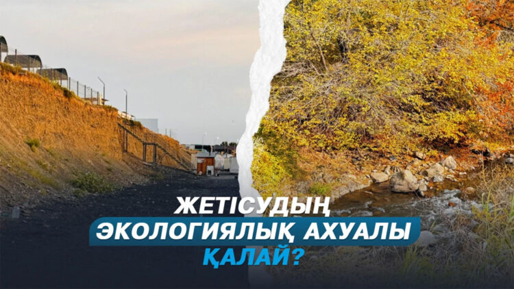 Жетісу облысында рұқсат етілмеген 243 қоқыс орны анықталды