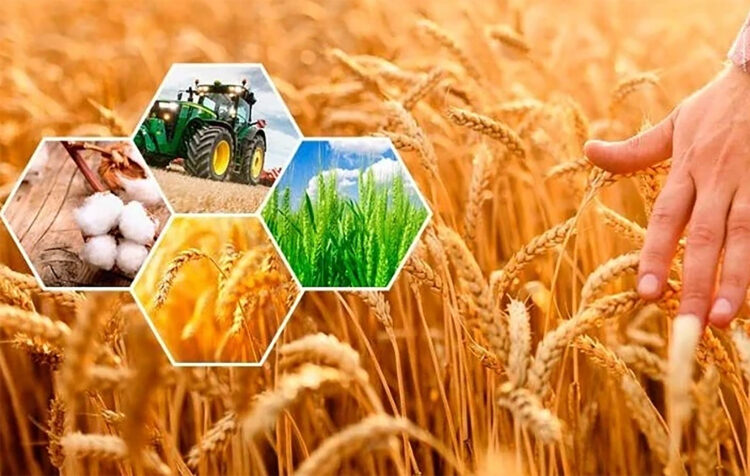 Ұлттық санақ өтеді