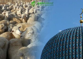 Жетісу облысы бойынша «Құрбан айт» мерекесінде қасапқана ретінде белгіленген орындар