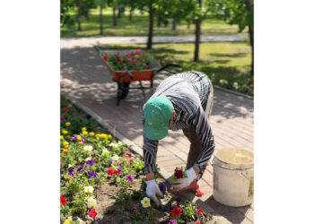 Гүл өсіру – мәдениет