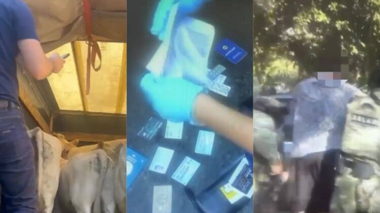 Жетісуда жалпы құны 9 млн теңгеден асатын мал ұрлығы ашылды