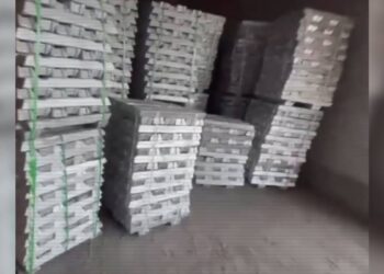 Жетісу облысында стратегиялық шикізатты шетелге заңсыз шығарған қылмыстық схема әшкереленді