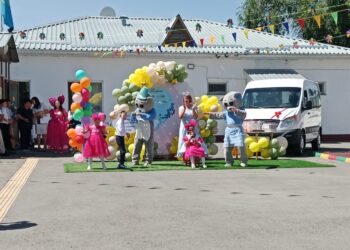 Жеткіншек жүзіндегі шаттық