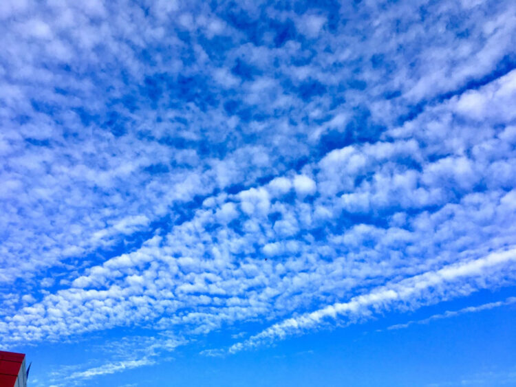 27 маусымдағы ауа райы болжамы