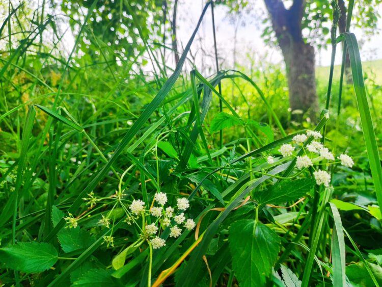 Бүгін ауа райы қандай болады?