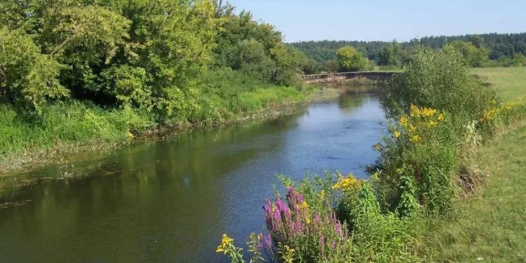 «Туристер шағым түсірген»: Жетісу облысында шошқа шаруашылығы жабылды