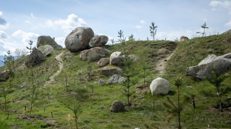 Сарқан саябақтарына заманауи суару жүйесі енгізілді