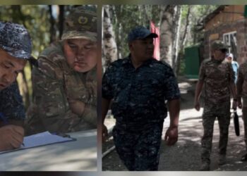 Жетісу облысында орман өртінің алдын алу шаралары күшейтілді