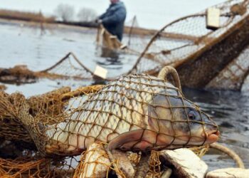 Қазақстанда жаңа айыппұл енгізілді: 2025 жыл 1 шілдеден бастап күшіне енеді