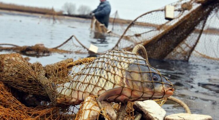 Қазақстанда жаңа айыппұл енгізілді: 2025 жыл 1 шілдеден бастап күшіне енеді