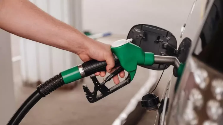 Жанармай бағасы рекорд жаңартты