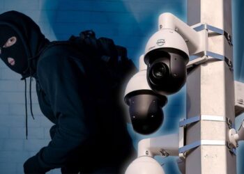 Жетісуда бейнебақылау арқылы 11 мыңнан астам құқық бұзушылық анықталды