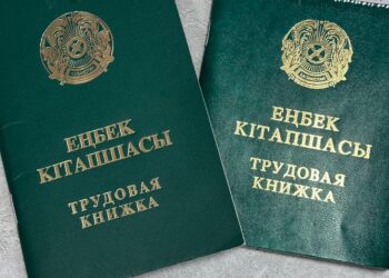 Еңбек кітапшасы керек пе – Министр қазақстандықтарға нақты жауабын берді