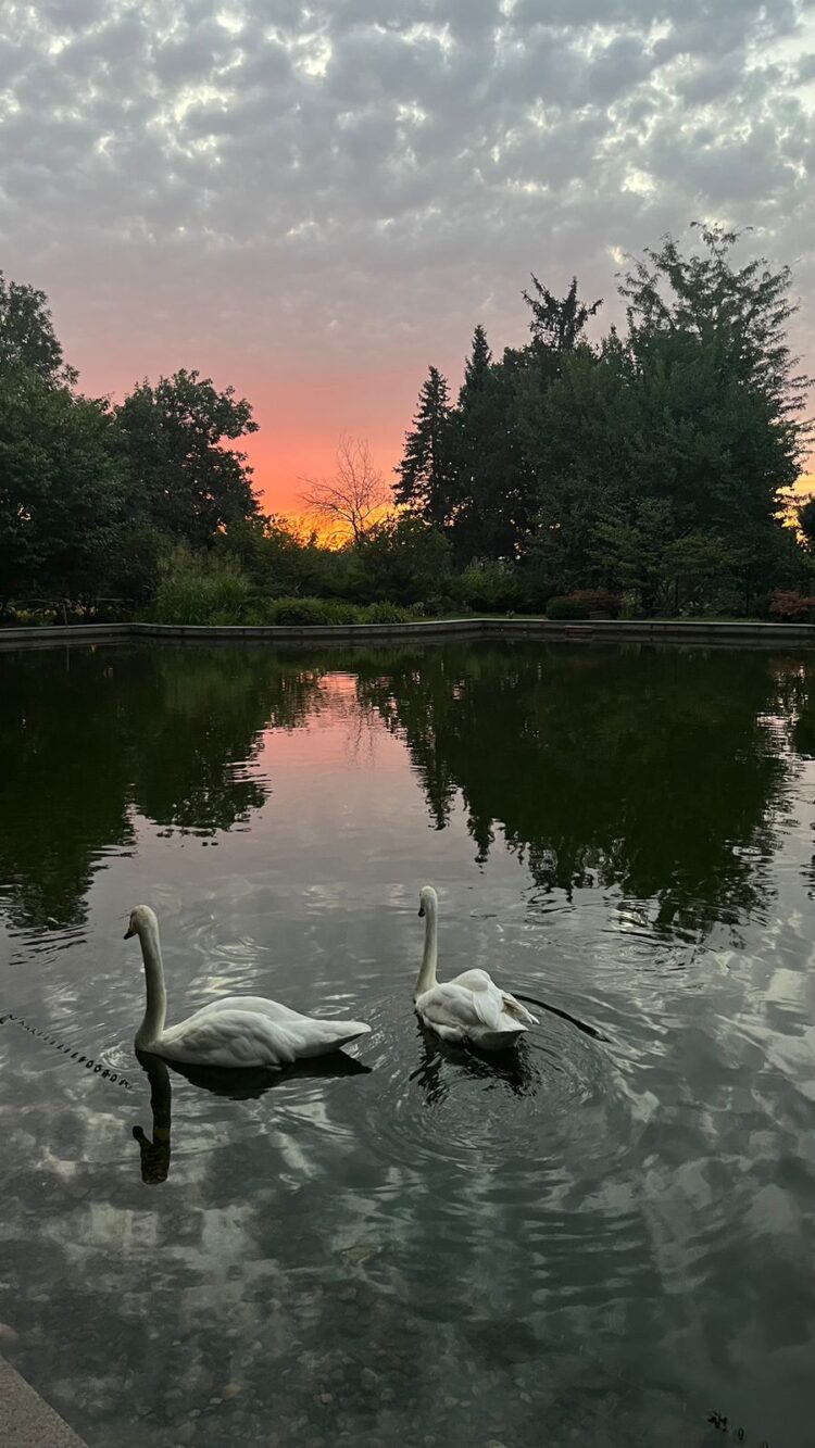 Синоптиктер ауа райына байланысты ескерту жасады