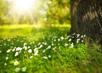 Қазақстанның бірнеше өңірінде дауылды ескерту жарияланды
