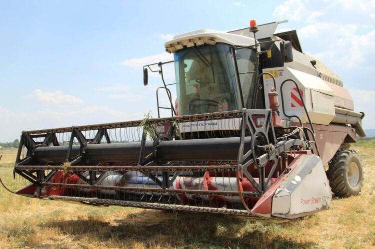 Астықты алқапты аралады