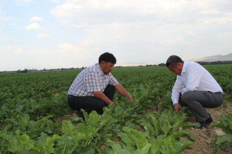 Егін – елдің ырзығы