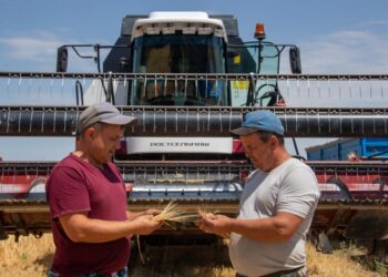 Биыл Жетісу облысында 2,2 млн тонна жем-шөп дайындалады