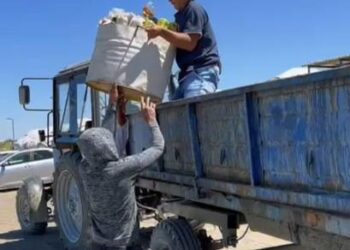 Демалыс күндері Балқаш көлі жағалауынан 4 тоннаға дейін қоқыс шығарылады