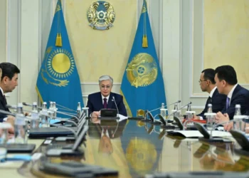Тоқаев заңсыз көші-қон мәселесіне назар аударды