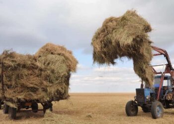 Жоспар орындалады, алаңдауға негіз жоқ