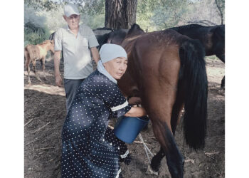 Жылқы баққанға – ырыс, қымыз ішкенге – шипа